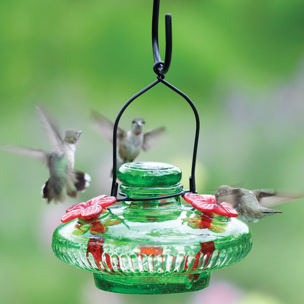 Bloom Hummingbird Feeder - Yard Envy