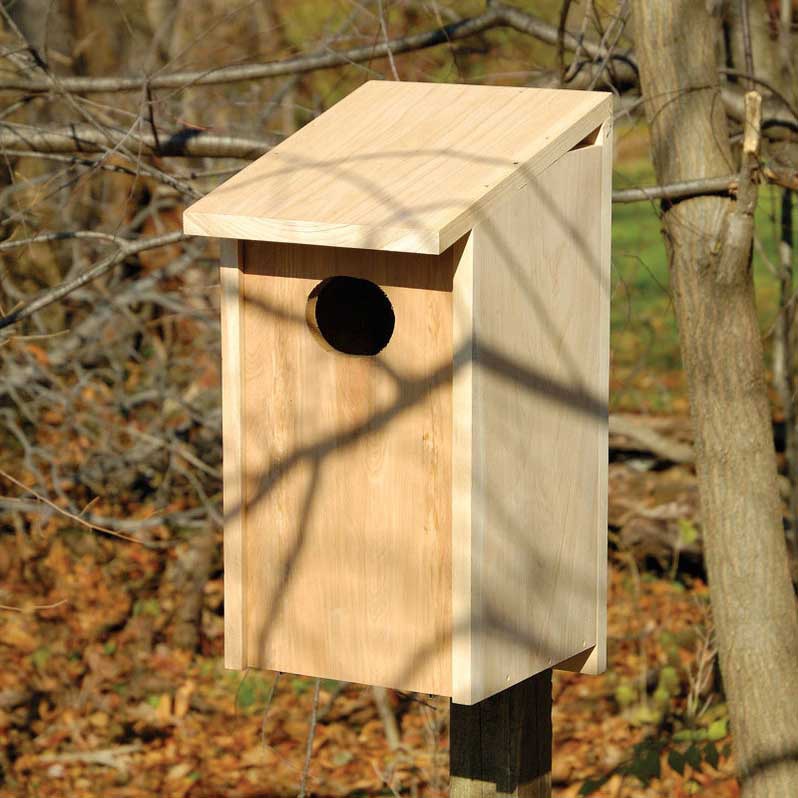 Woodwork Hanging A Wood Duck House PDF Plans