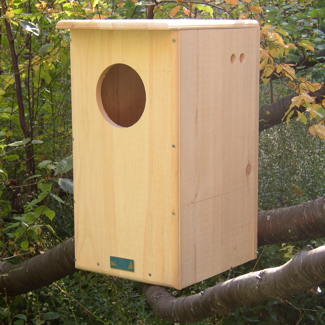 Barred Owl House - Yard Envy