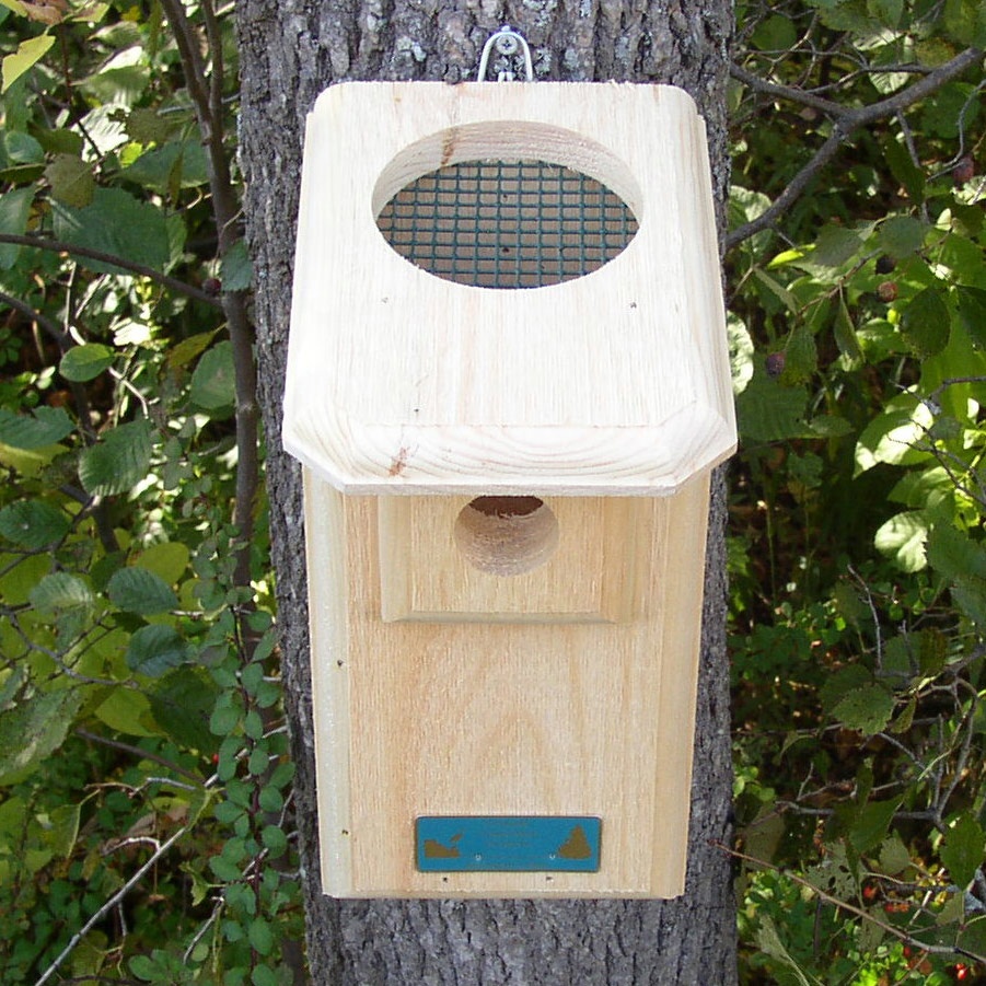 Open-Top Bluebird House - Yard Envy