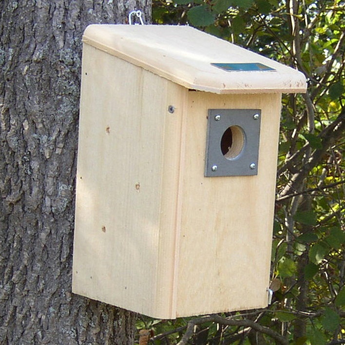 Backyard Wooden Birdhouse - Yard Envy