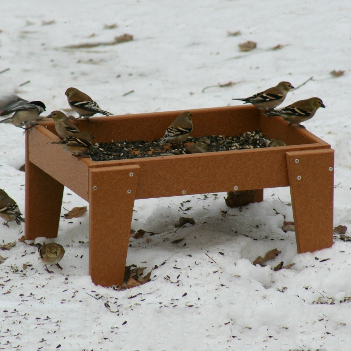 Recycled Ground Bird Feeder - Yard Envy