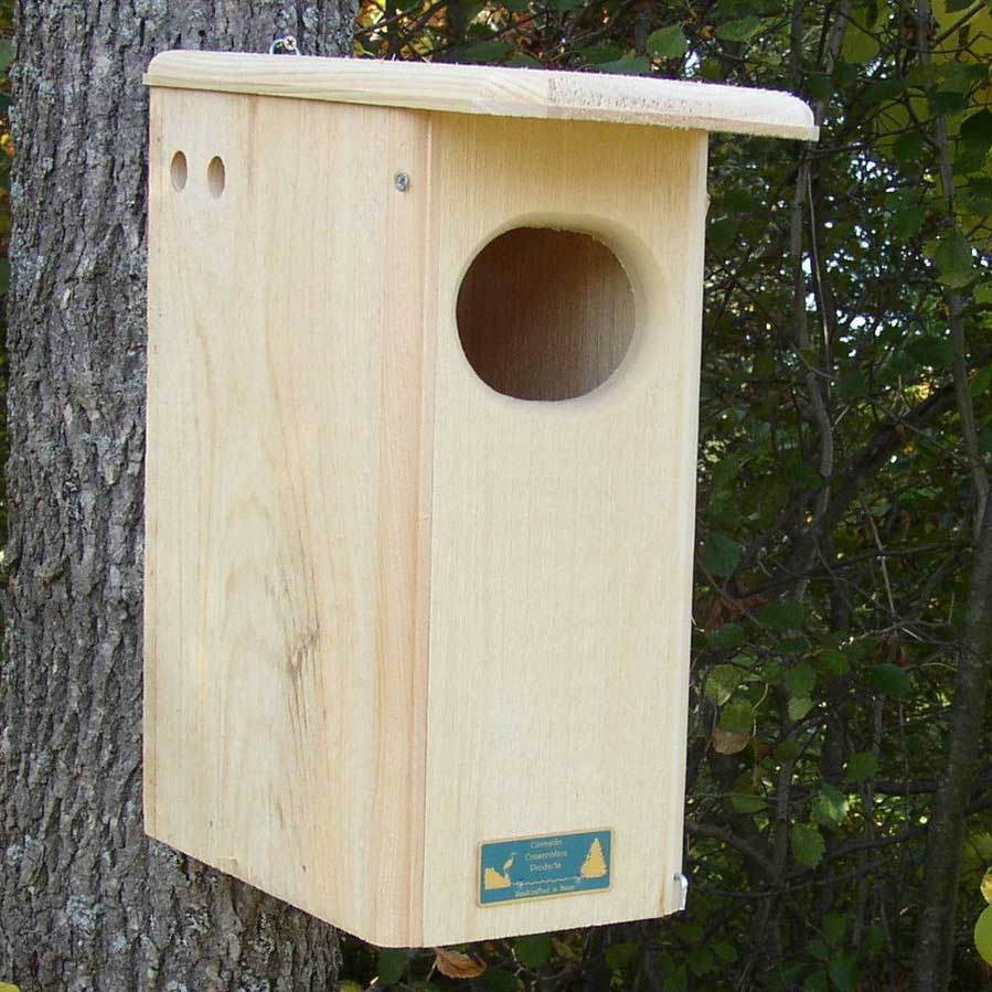 Black Bellied Whistling Wood Duck Bird House - Yard Envy