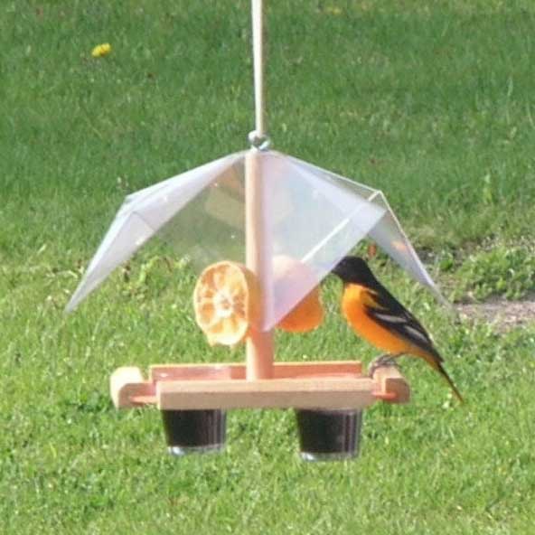 Oriole Buffet Bird Feeder - Yard Envy