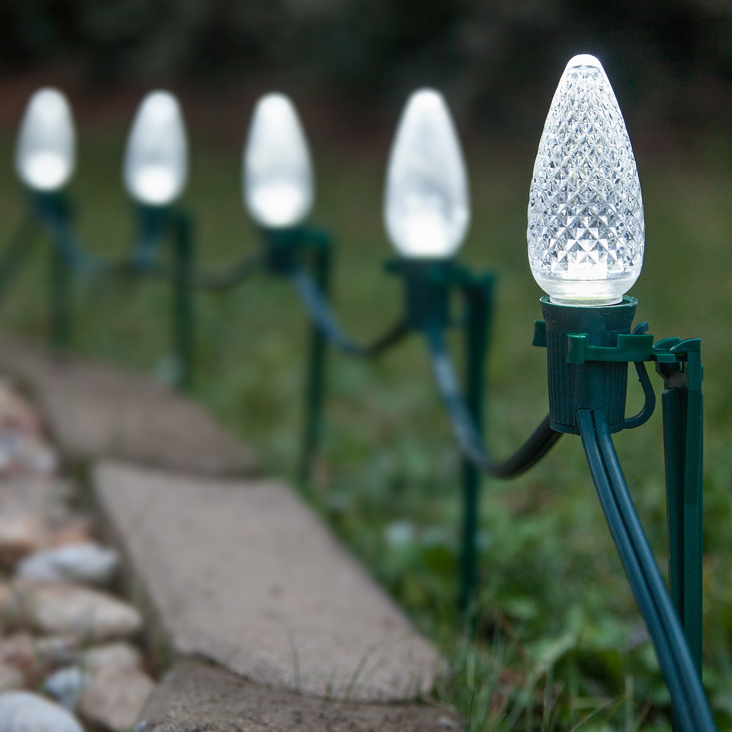Led cool white c9 lights deals