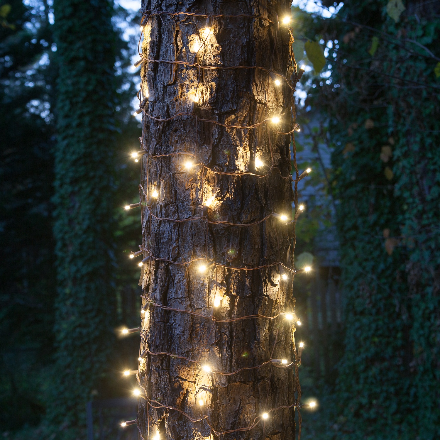 LED Trunk Wrap Lights, 2' x 6', Warm White, Brown Wire - Yard Envy