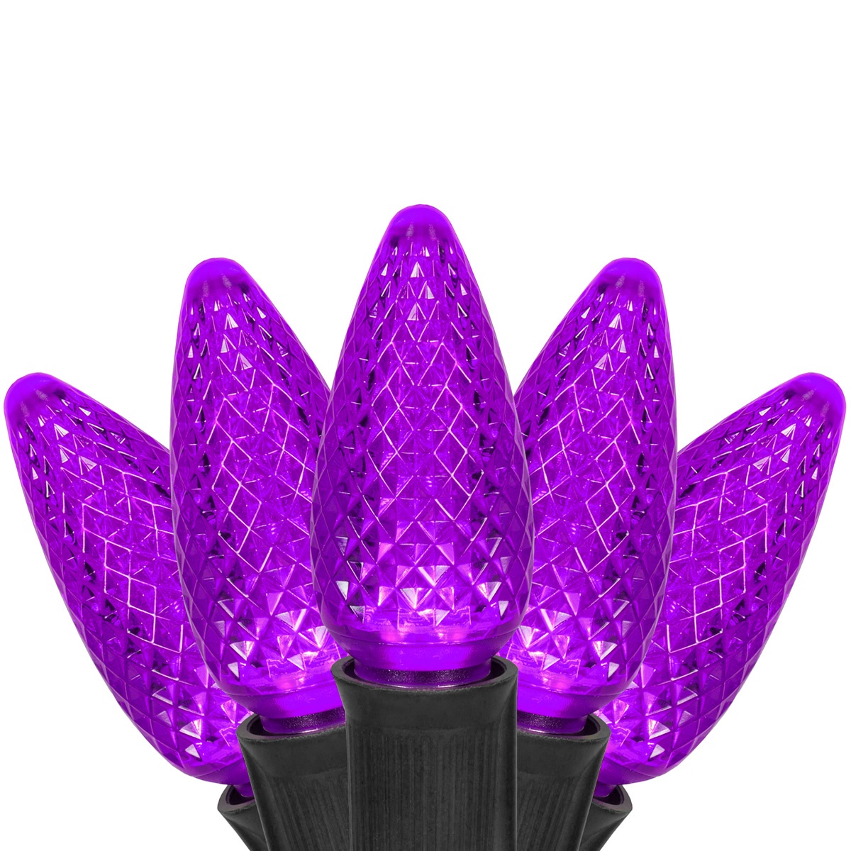C9 Commercial LED String Lights, Purple - Yard Envy