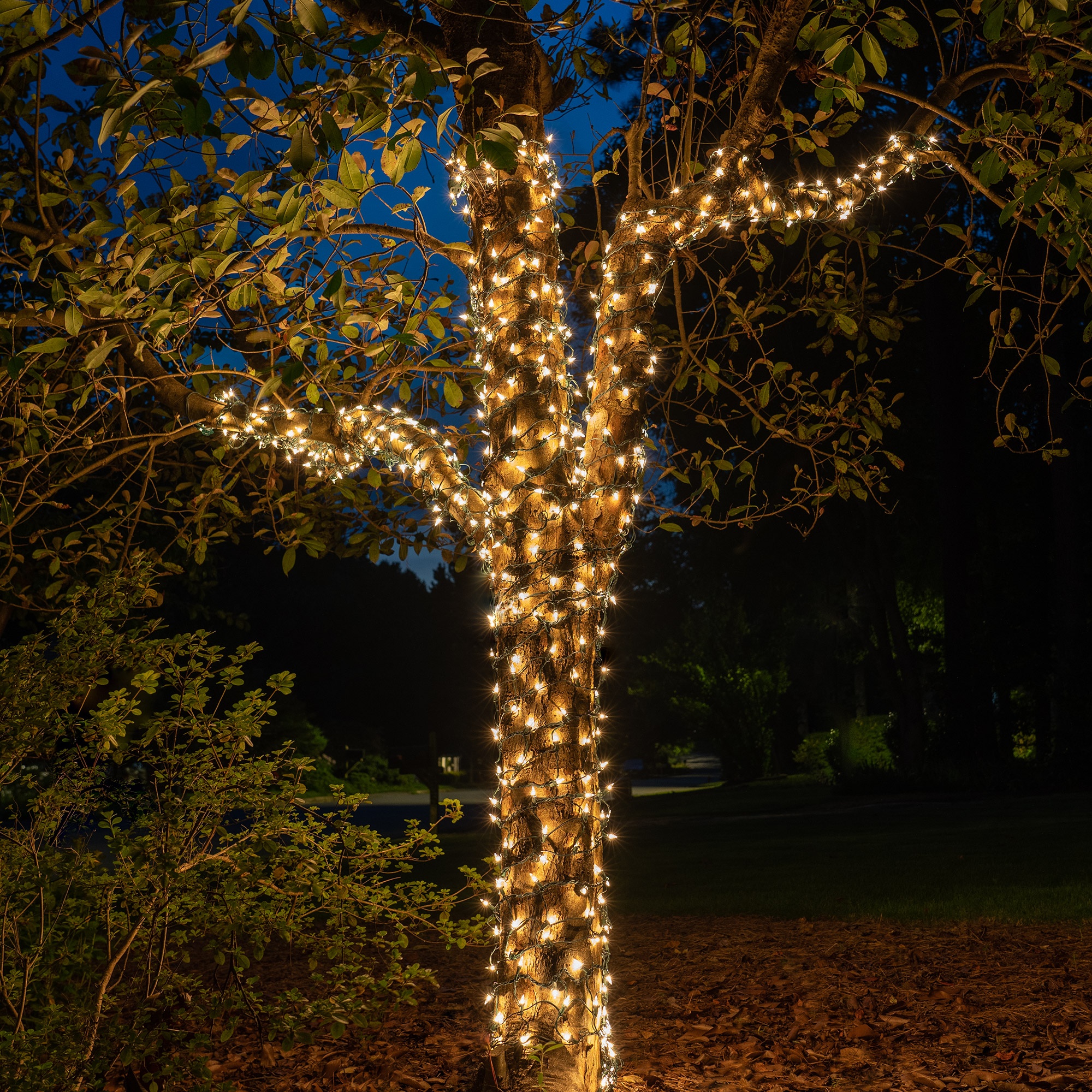 Trunk Wrap Lights, 6" x 15', Clear, Green Wire Yard Envy