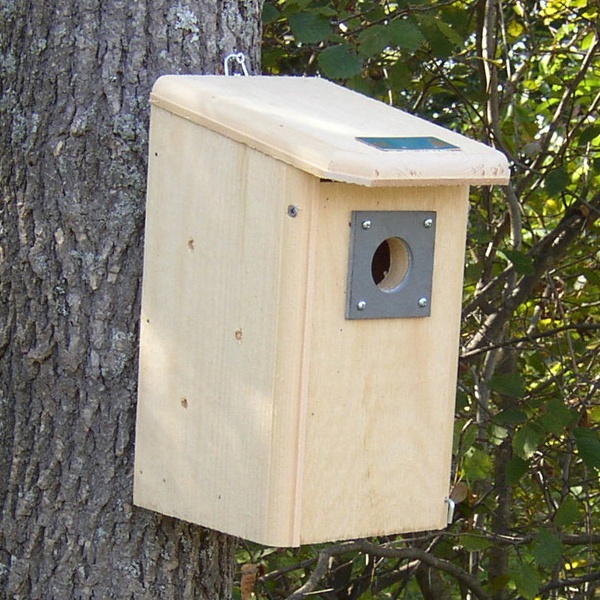 Wooden Bird Houses - Yard Envy