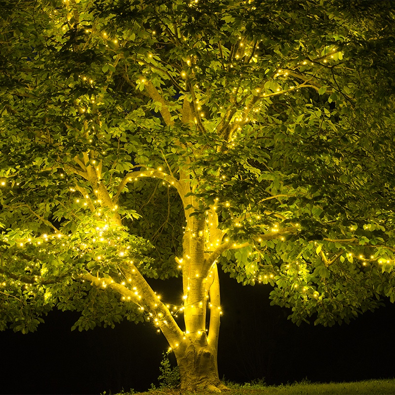 7+ Lights In Trees - AllanahBarnaby