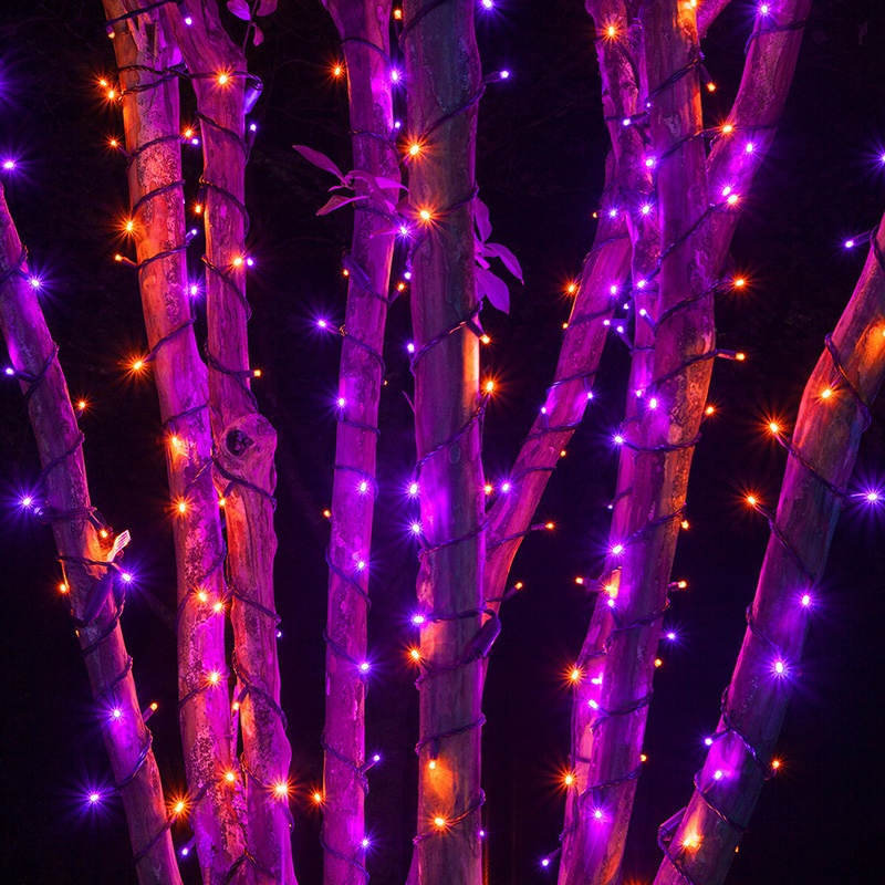 Halloween Lights Yard Envy